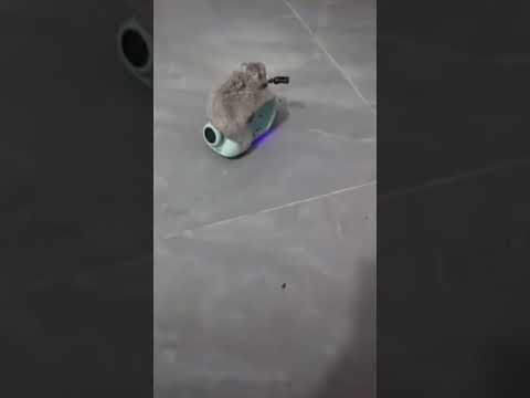 Video cover