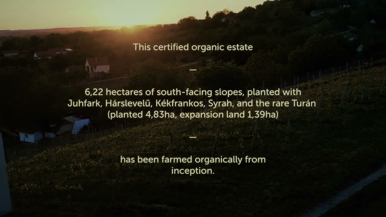 Volcanic Organic Vineyard Estate — video