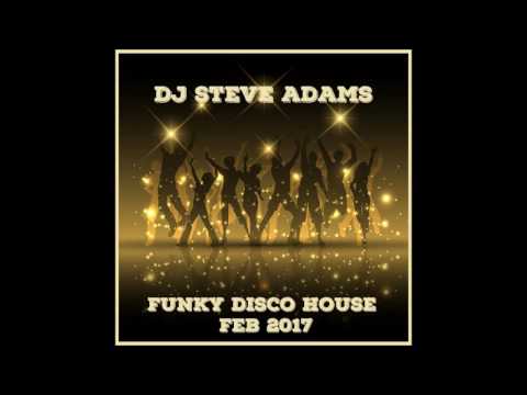 Funky Disco House Feb 2017