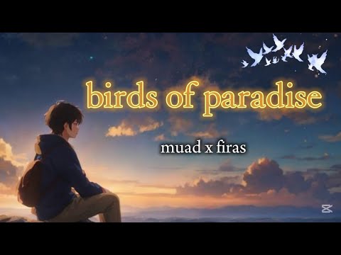 birds of paradise lyrics video muad x firas nasheed lyrics palestine will be free