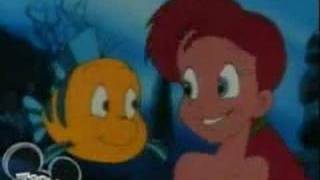 we  belong to the sea