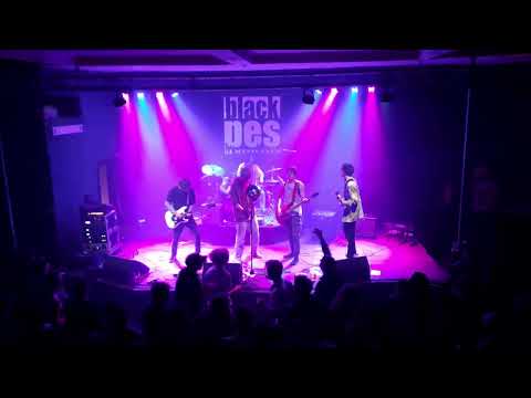 Never Go Out - Never Go Out - Deep Fried (live)