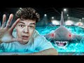 Ich Bade Im Pool Aber Ein Hai Will Mich Fressen Horror Game