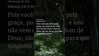 Tudo vem dEle e tudo é p gloria dEle