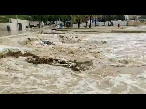 Videos del Iberostar Selection Albufera Park 4★ en Playa de Muro, España
Ver Más
Ver
Precios
15
Cerrar
Consulta por Whatsapp 🇦🇷
Booking
Tripadvisor
Expedia
Agoda
Travelocity
Orbitz
Trip
Skyscanner
Despegar
Kayak
Hoteles
Destinia
Trivago
Lastminute
Tui