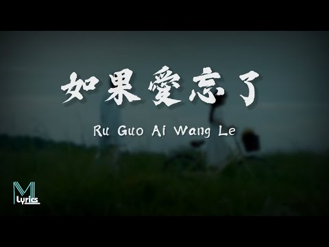 Wang Su Long (汪蘇瀧), Dan Yi Chun (單依純) - Ru Guo Ai Wang Le (如果愛忘了) Lyrics 歌词 Pinyin (動態歌詞)