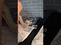 Trendy Finds Budget Friendly Haul With Prices Fashionhaul Budgetfashion