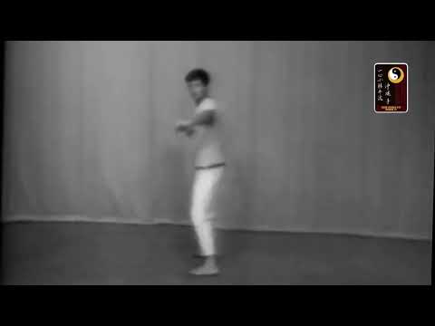 Shi Shi no Kun – Sequence 4 – Sensei Doug Gould