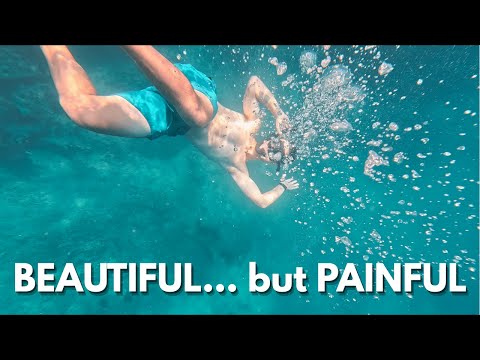 Top Snorkeling Spot Near Kuta Lombok: Secret Gili Islands