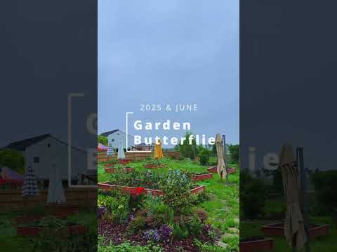 Monet's Garden in Your Heart and My Heart。#peaceful #calm #relaxation