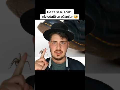 De ce să nu calci niciodată un păianjen