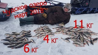 Зимняя рыбалка на озере чудское