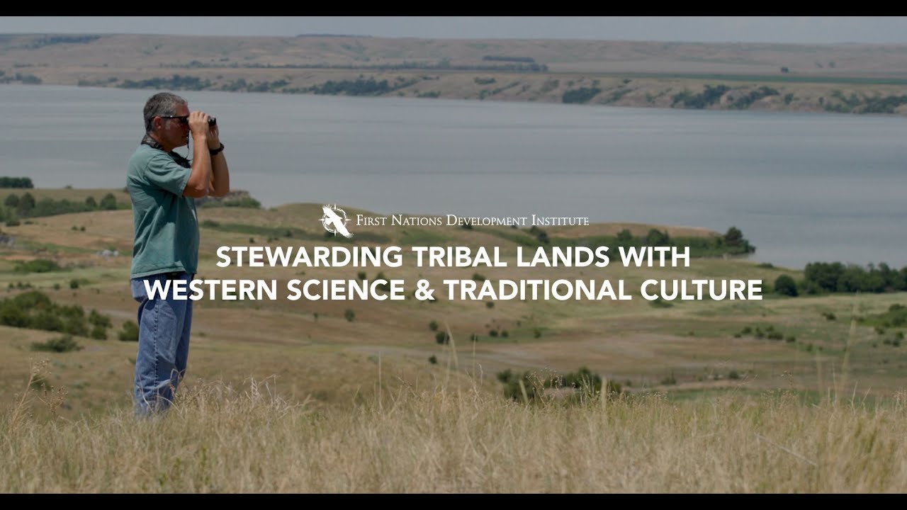 What is the Brule Sioux Tribe? Tipseri