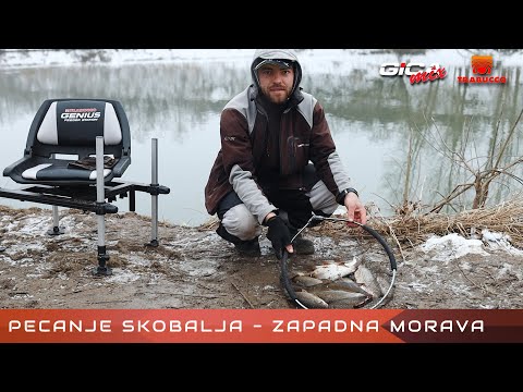 Zimsko pecanje skobalja na fider - Sirca,  Zapadna Morava, Kraljevo