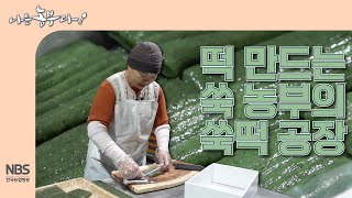 [나는농부다 298회] 떡 만드는 쑥 농부의 쑥떡 공장