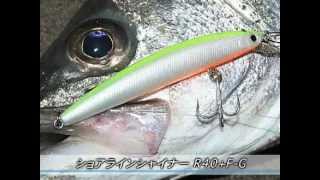 DAIWA SHORE LINE SHINER R40+ FG SG
