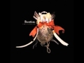 Bowerbirds - This Year