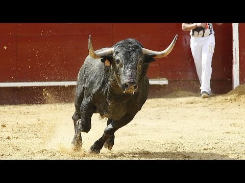 Come eccitare donna con la penna Rivedere il martello di Thor crema