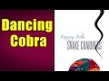 Dancing Cobra (Album: Snake Charmers)