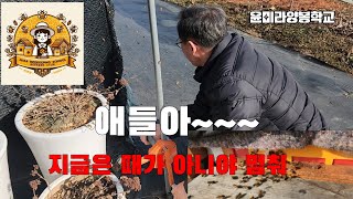 애들아~~~쫌만 참아줘   엄마가 애기 낳으면  동생들 키워줘야하는데   벌써  봄나들이 하면 몸상한다