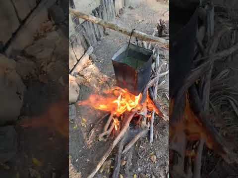 Povoado, fazenda nova  chapadinha  MA