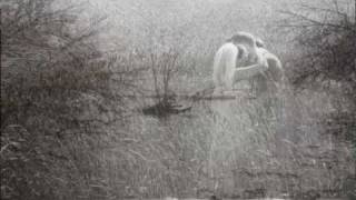 Sometimes Like A River (Loving You), Joy of Cooking