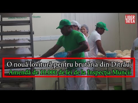 O nouă lovitură pentru brutăria din Ditrău. Amendă de 10.000 de lei de la Inspecția Muncii