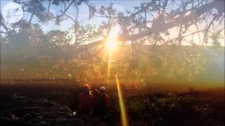 Anushka - Never Can Decide (Ivy Lab Remix)