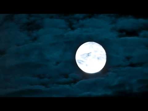 1602 Moon Rabbits 月の兎 | Piano Stories ピアノ・ストーリー
