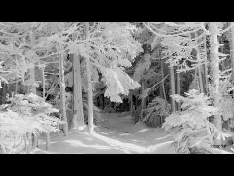 Darkthrone  - Snø og Granskog
