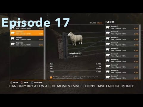 Sheep on the farm! I FS19 I chellington valley EP. 17