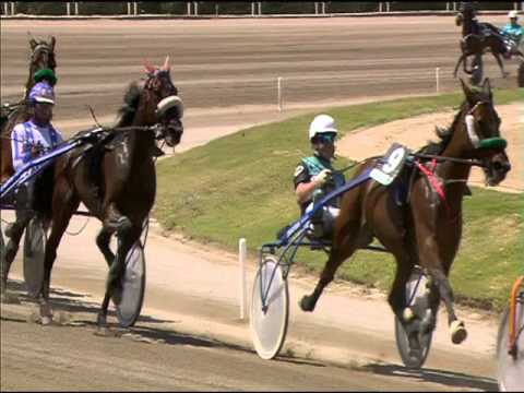 Trotto 30/04/2016 - 1° Corsa