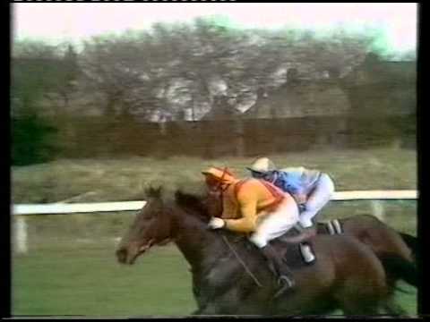 1981 Topham Trophy Handicap Chase