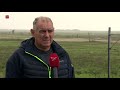 Actie tegen hinderlijke distels in Oostvaardersveld