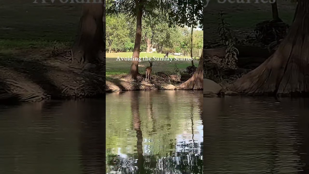 Stream Ghost on Spotify, Apple Music, and YouTube!!