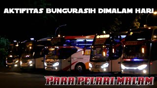 Download lagu Terminal Purabaya in the night || Hunting bus mp3