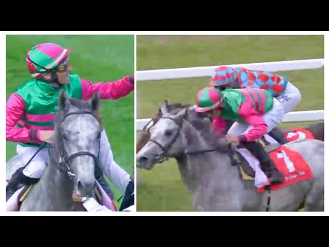 "133° Pr. PISA" vincono Amabile e Dario Vargiu per la connection Stefano Botti - Incolinx 02/03/2023