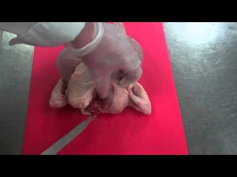 download lagu mp3 mp4 Remove Wishbone, download lagu Remove Wishbone gratis, unduh video klip Remove Wishbone