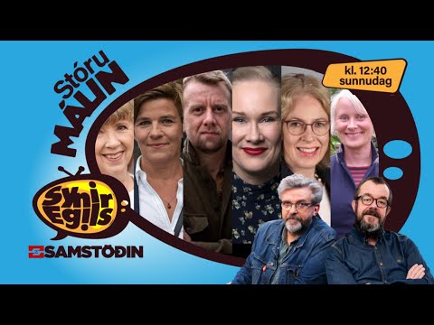 Pólitískt umrót, efnahagslægð, lífskjarakrísa og kjaradeilur