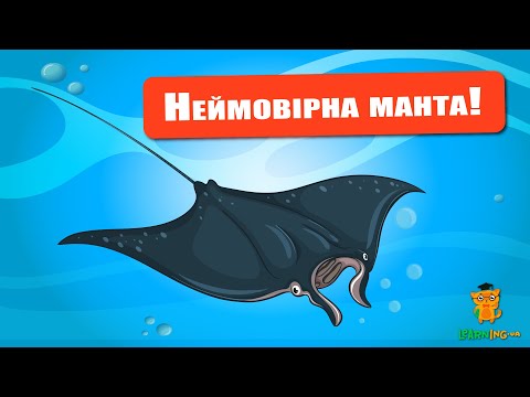 🍀 Дива природи. Явища навколо нас. Велетенські манти 🌏