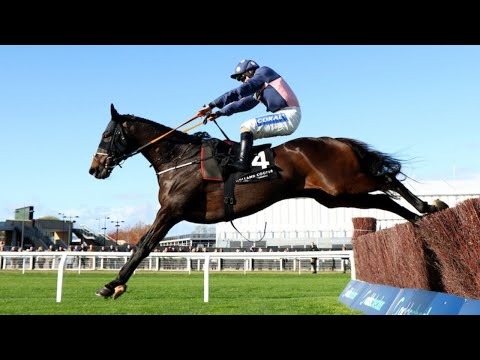 "Exciting" Alnilam looks a two-miler chaser to follow | Racing TV