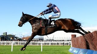 Exciting Alnilam looks a two-miler chaser to follow | Racing TV