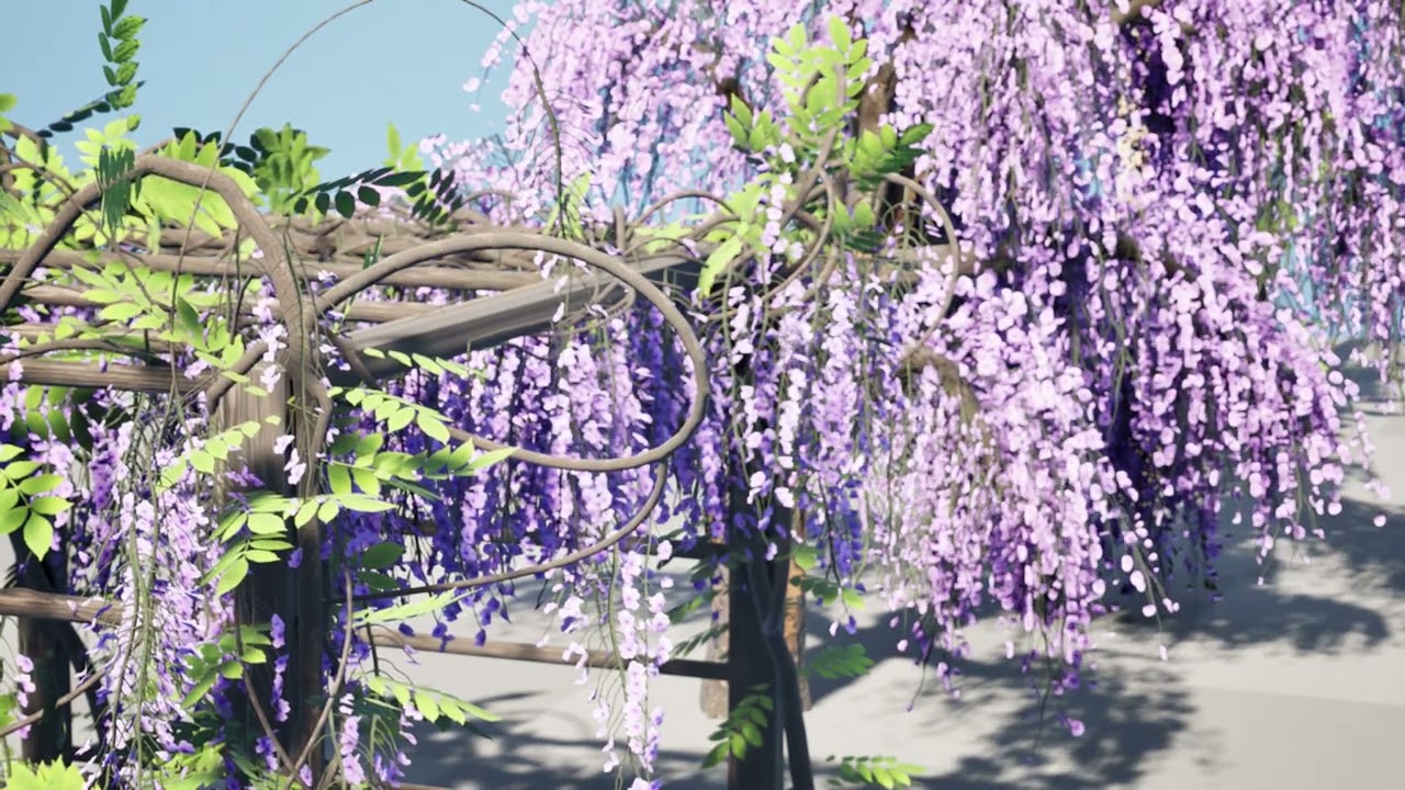 Japanese Wisteria Tree Pack 3D Model