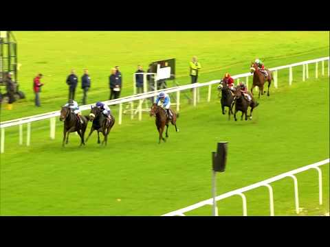 Galopprennbahn Dresden - 21.10.2017 - 1.Rennen