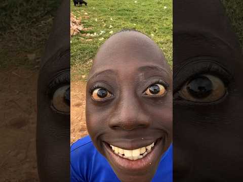 Rango tenge tenge - Helloooooo😊 #tengetenge #tengelele