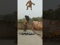VfX Video Shorts New Music And Ringtone Shorts Video
