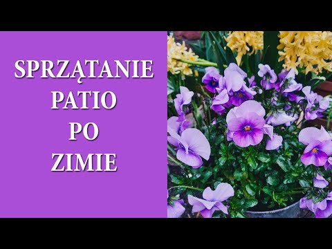 PATIO TOUR / Sprzątanie donic po zimie / Nawożenie roślin w doniczkach / Ogród wiosną / MrsGarden