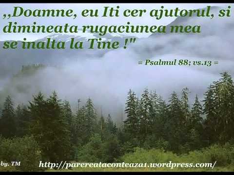 EMILIAN ONCIU - NOAPTE BUNA