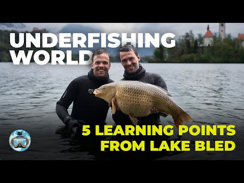 5 Learning points from Lake Bled #UnderfishingWorld