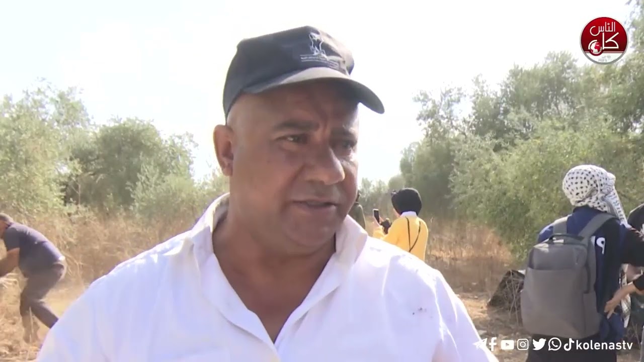 نشطاء بالتعاون مع هيئة مقاومة الجدار والاستيطان ينظمون فعالية لقطف ثمار الزيتون في أراضي بلدة رامين شرق طولكرم التي يُمنع أصحابها من الوصول إليها منذ عامين.